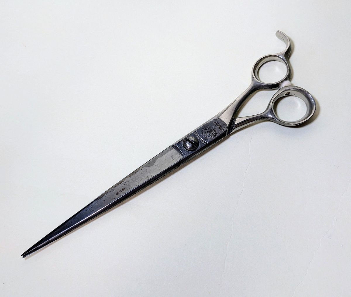 2026年最新】Yahoo!オークション -シザー天洋の中古品・新品・未使用品一覧