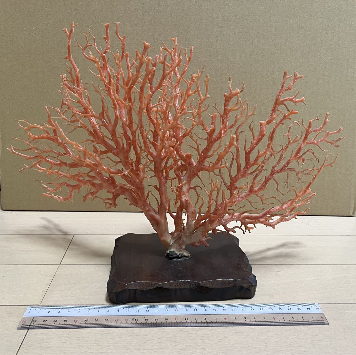 Yahoo!オークション -「ピンク珊瑚原木」の落札相場・落札価格