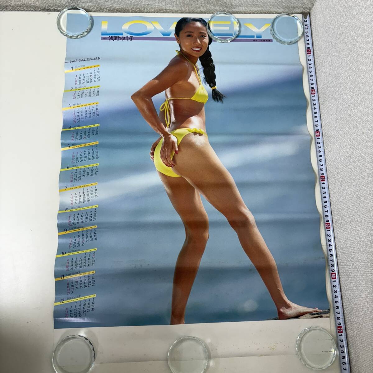 Yahoo!オークション -「浅野ゆう子カレンダー」の落札相場・落札価格