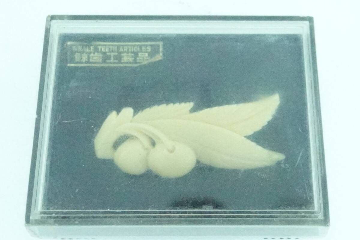 Yahoo!オークション -「鯨 歯」(ブローチ) (レディースアクセサリー)の