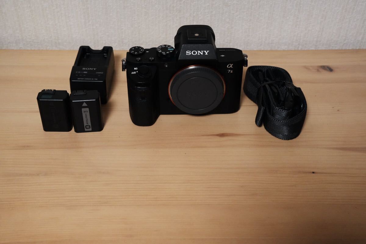 2025年最新】Yahoo!オークション -sony α7 2の中古品・新品・未使用品一覧
