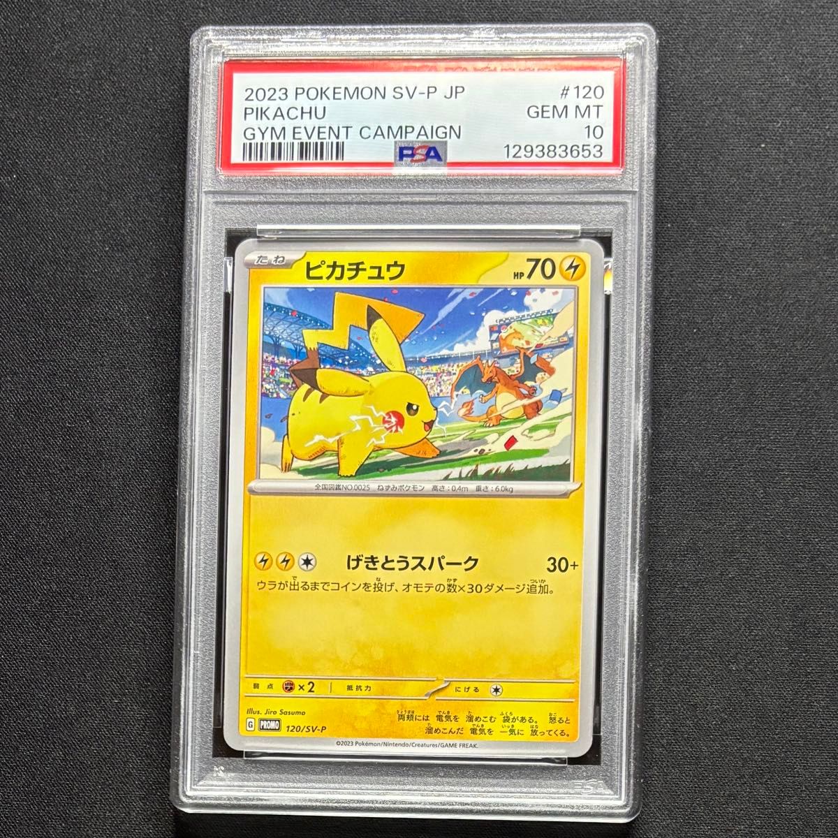 PSA10】【2連番】【切り番】PSA10 ピカチュウ プロモ 2023 2024 げき