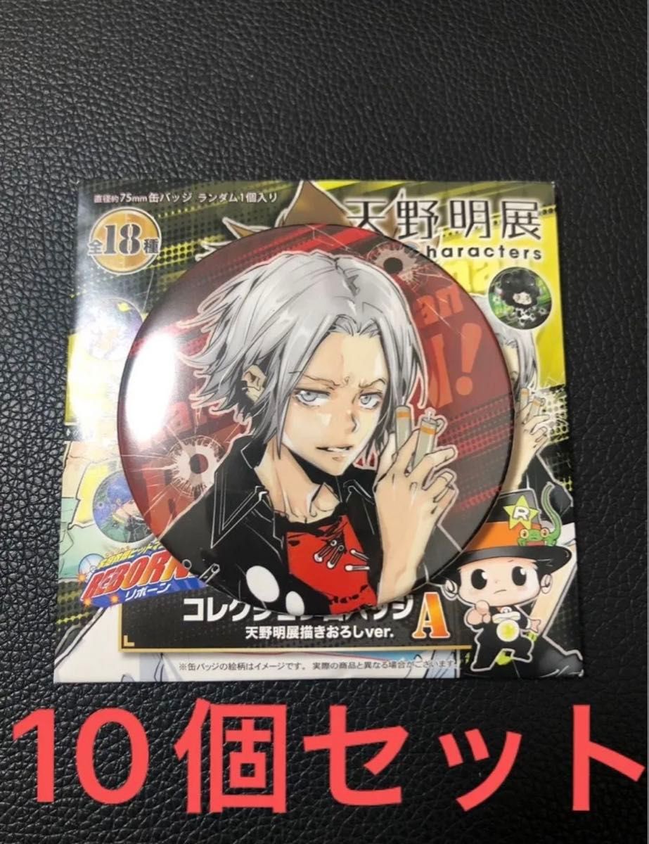 家庭教師ヒットマンREBORN 天野明展 キャラバッジコレクション