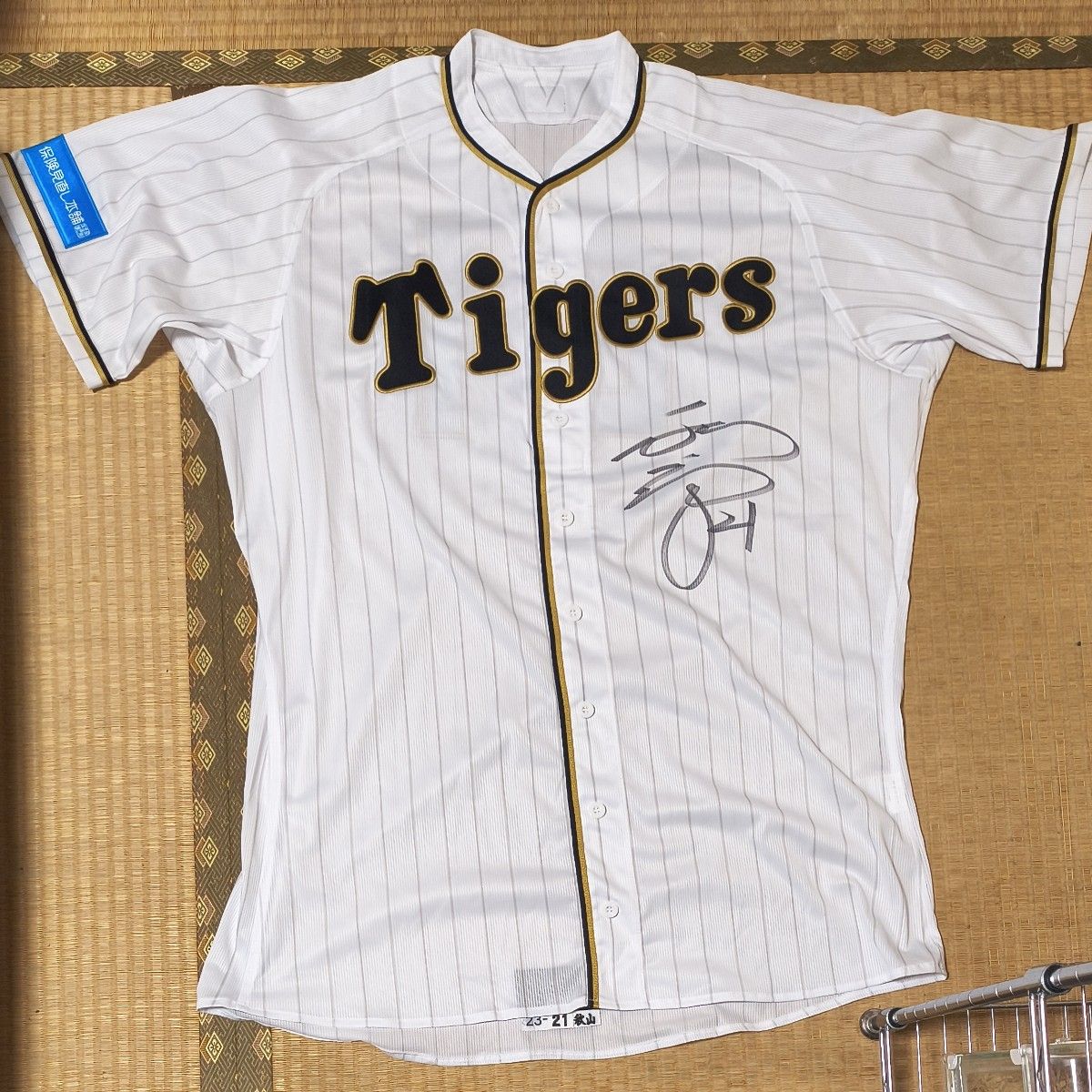ZETT プロ支給品 赤星憲広 阪神タイガース スパイク RED STAR サイン