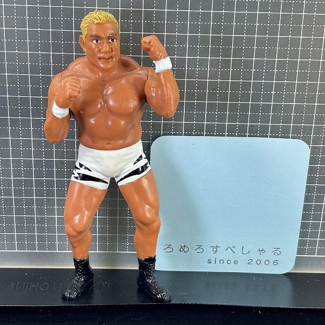 2026年最新】Yahoo!オークション -#藤田和之の中古品・新品・未使用品一覧