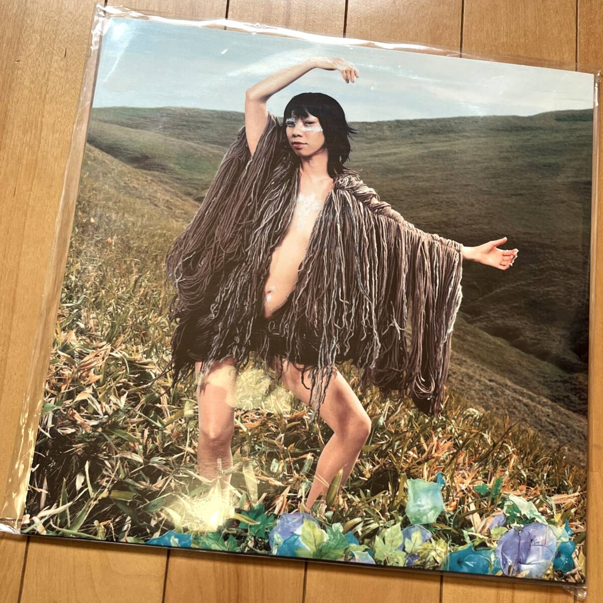 2026年最新】Yahoo!オークション -ua レコードの中古品・新品・未使用