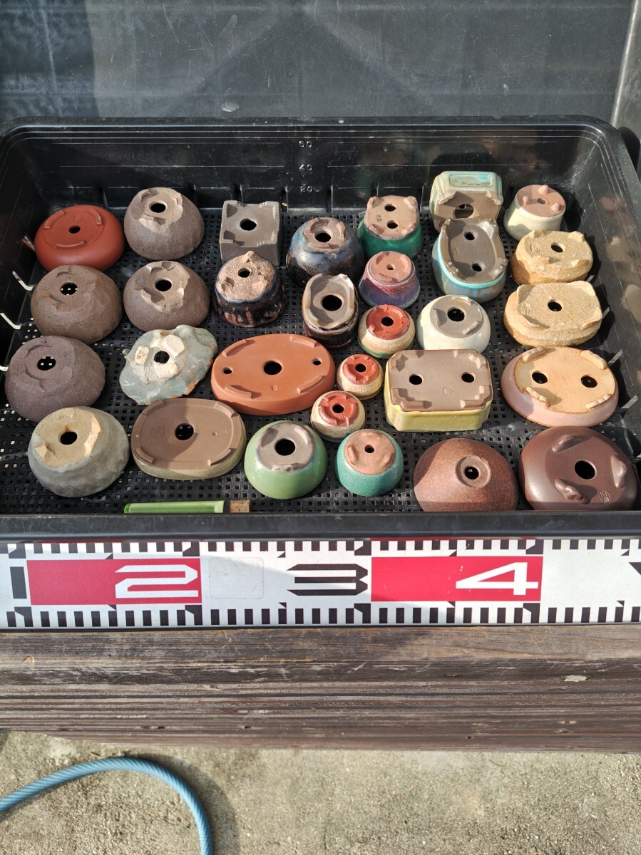 Yahoo!オークション -「松山」(鉢) (盆栽用具)の落札相場・落札価格