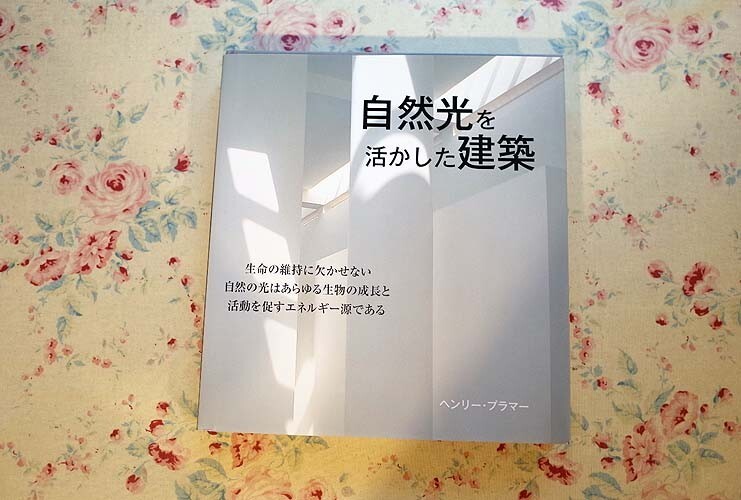 2026年最新】Yahoo!オークション -sanaaの中古品・新品・未使用品一覧