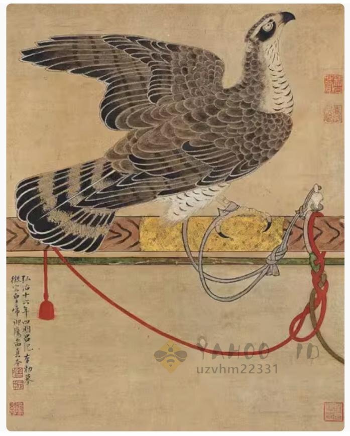 Yahoo!オークション -「鷹」(掛軸) (書)の落札相場・落札価格