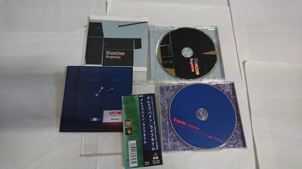 2026年最新】Yahoo!オークション -grapevine cdの中古品・新品・未使用