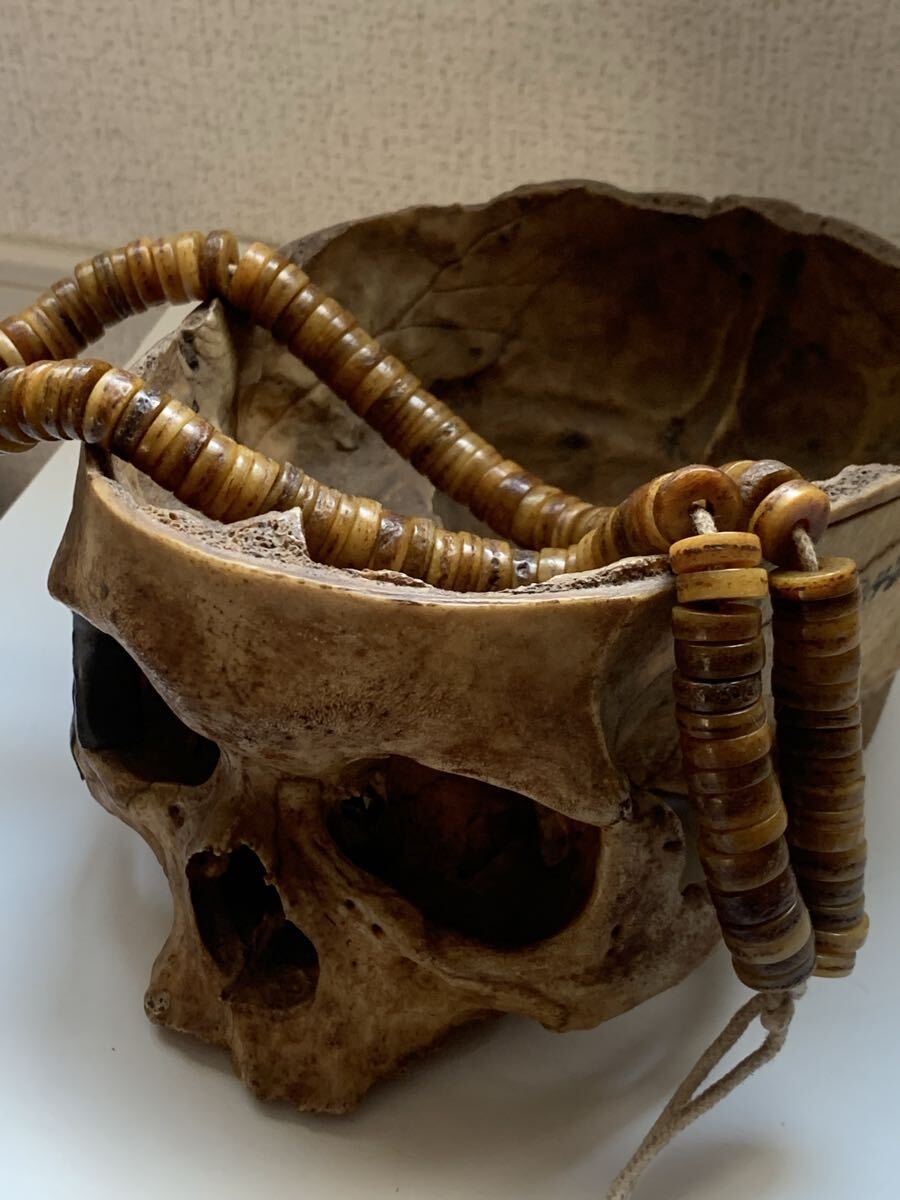 2026年最新】Yahoo!オークション -カパーラの中古品・新品・未使用品一覧