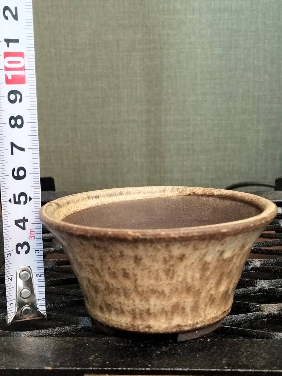 Yahoo!オークション -「カタフ」の落札相場・落札価格