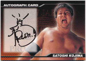 Yahoo!オークション -「小島聡 サイン」の落札相場・落札価格