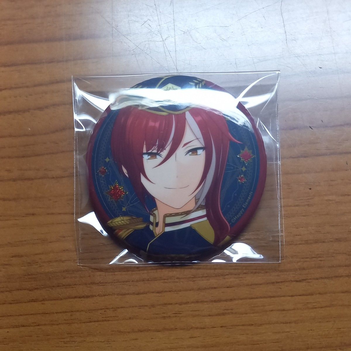 あんさんぶるスターズ あんスタ 五奇人 缶バッジ 夏目 エレメント 逆先