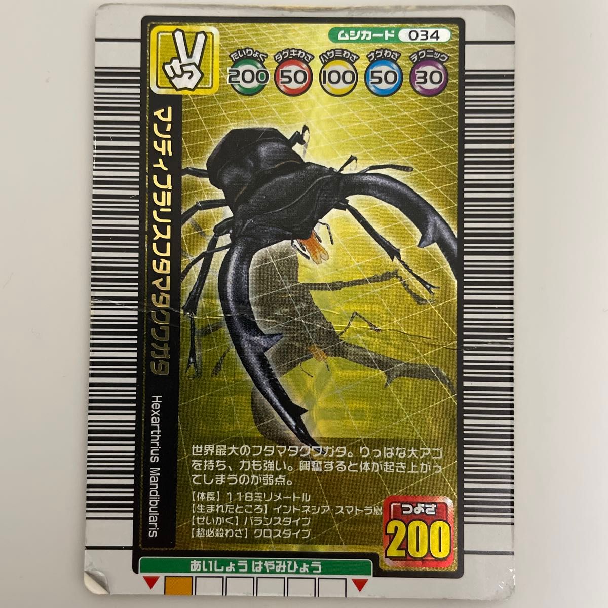 ムシキングカード マンディブラリスフタマタクワガタ アダー