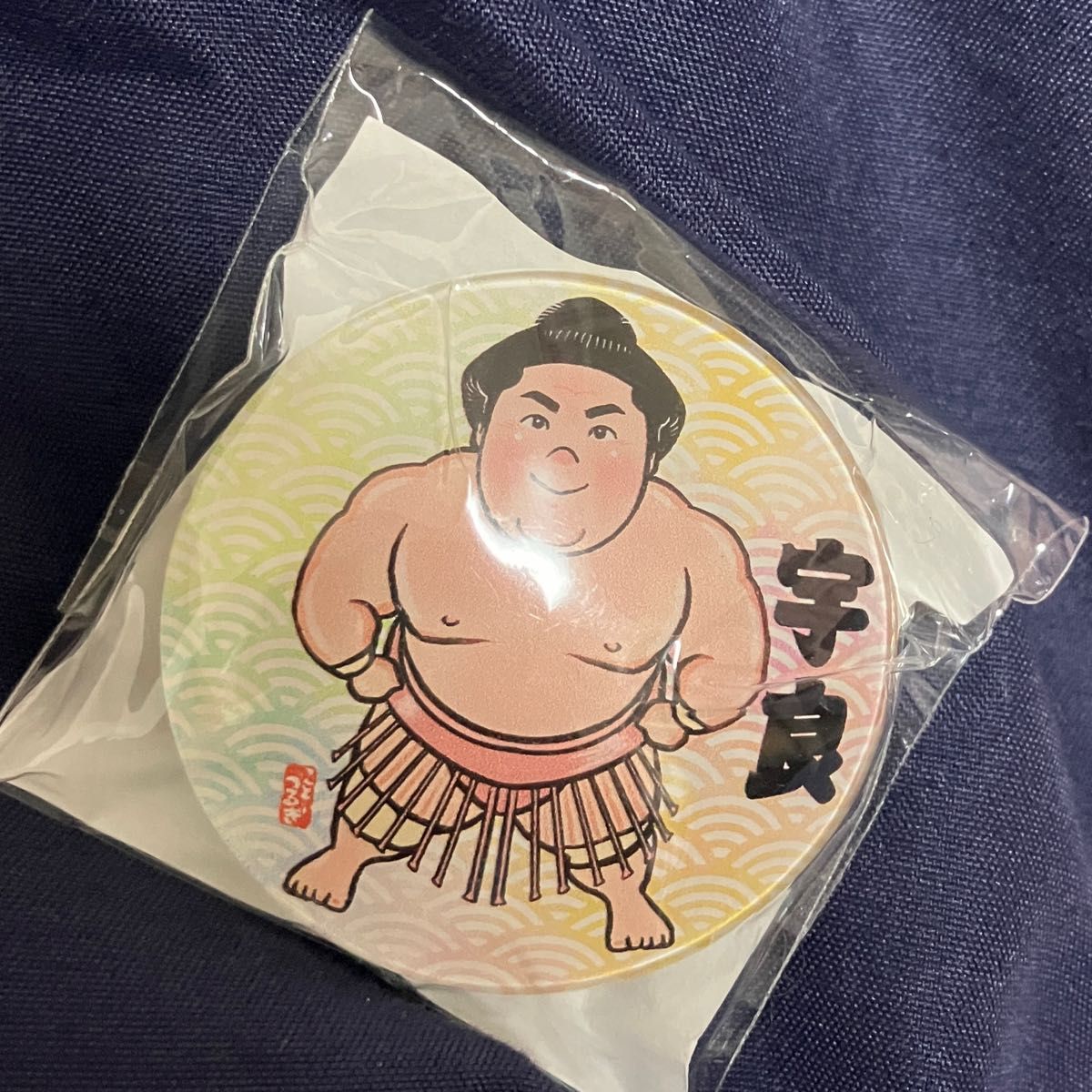 新品 美品 レア 未開封 未使用 追手風部屋 両国国技館 限定 遠藤 力士