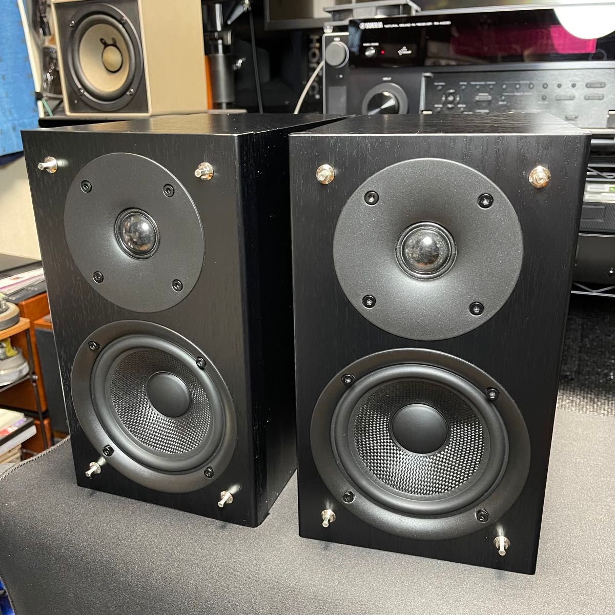 送料無料 Pioneer パイオニア iPod用 スピーカー XW-NAS5 純正