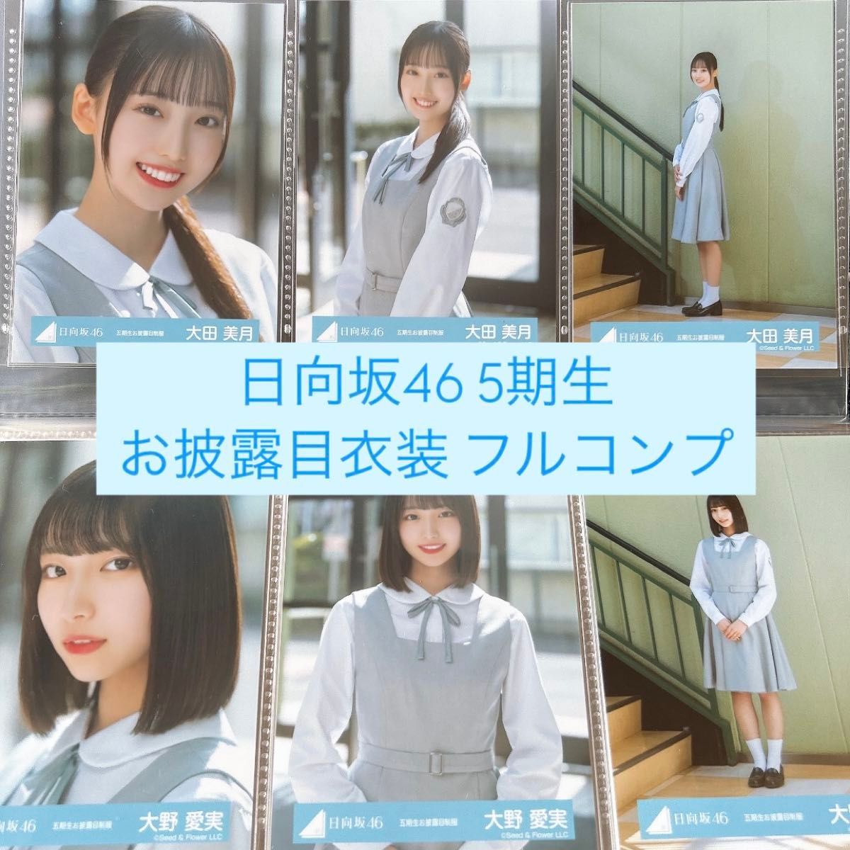 日向坂46 クリフハンガー ジャケット 集合 MV 生写真 コンプ 渡辺莉奈