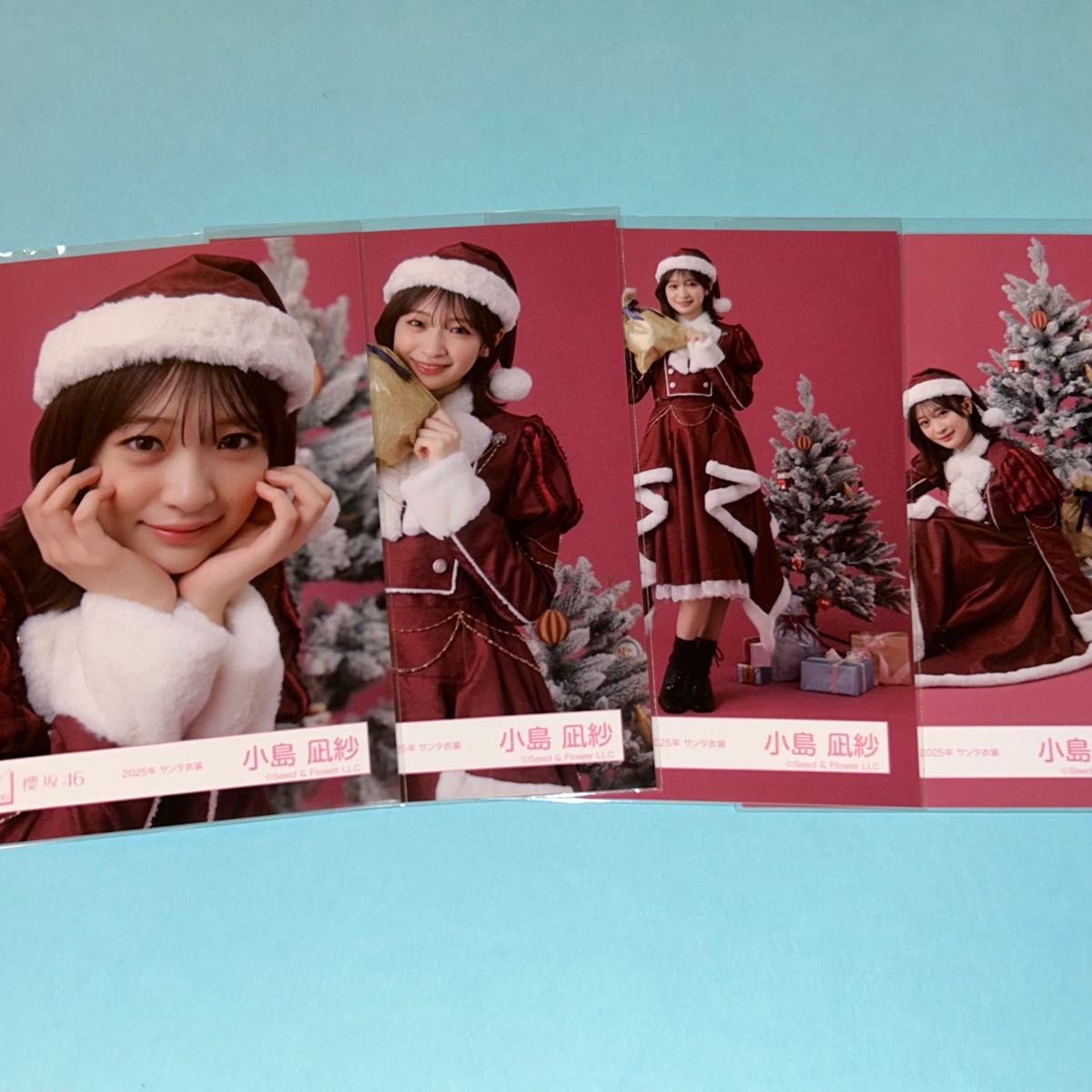 櫻坂46 生写真 2025年 サンタ衣装 田村保乃 座り｜Yahoo!フリマ（旧