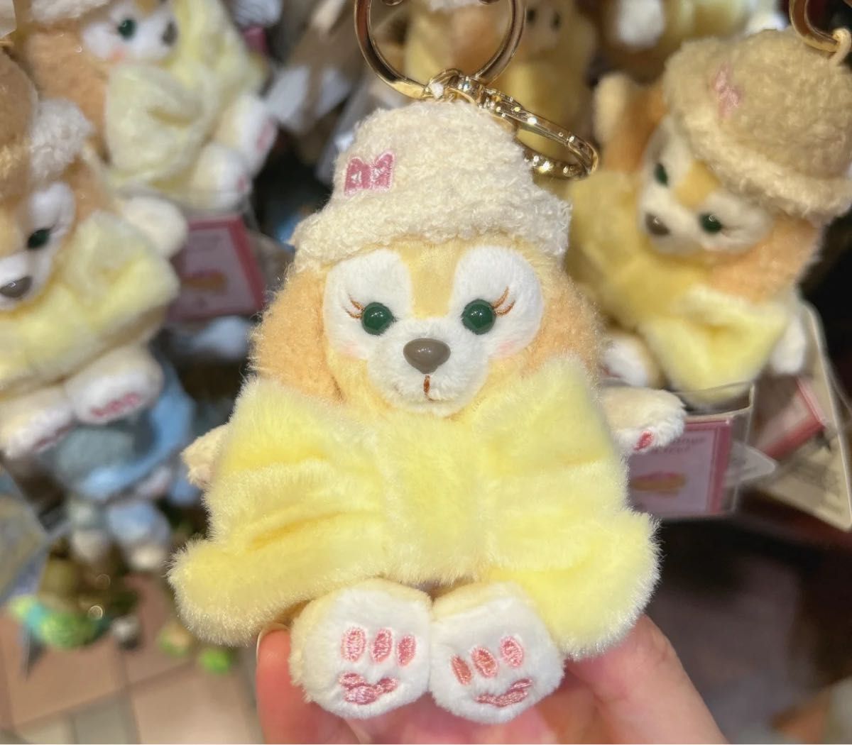 正規品未使用】香港ディズニー ダッフィーフレンズ クッキーアン 冬 お