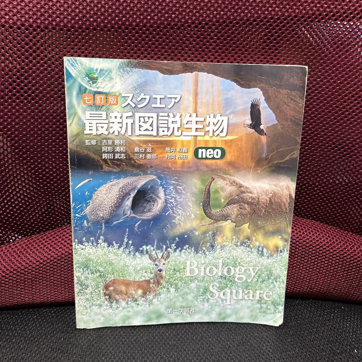 2026年最新】Yahoo!オークション -スクエア最新図説生物図説の中古品