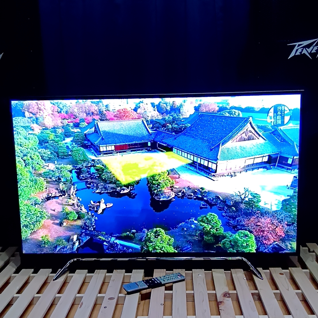 Yahoo!オークション -「regza 50z20x」の落札相場・落札価格