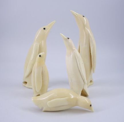 Yahoo!オークション -「マッコウクジラ歯」の落札相場・落札価格