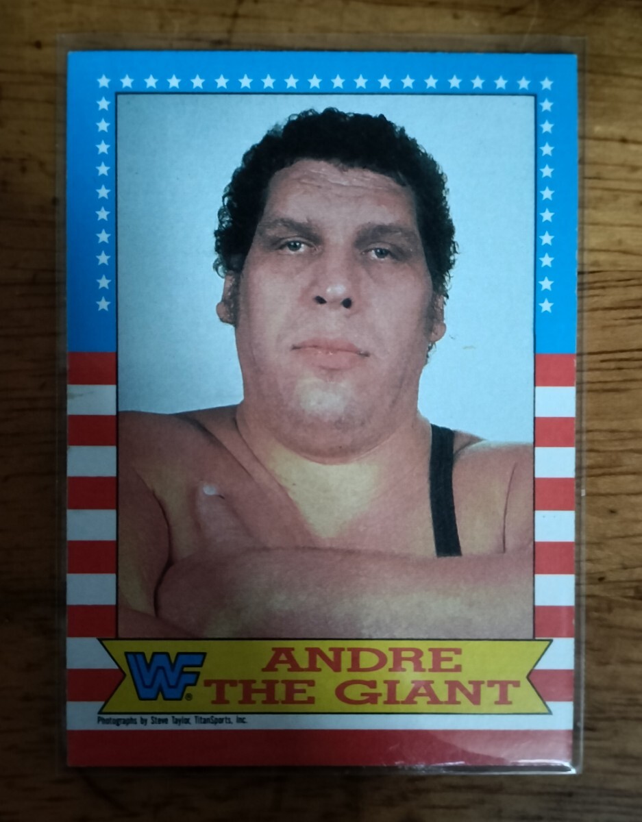 2026年最新】Yahoo!オークション -アンドレザジャイアントの中古品