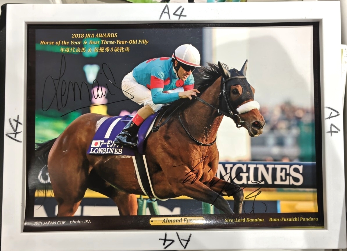 2026年最新】Yahoo!オークション -アーモンドアイの中古品・新品・未