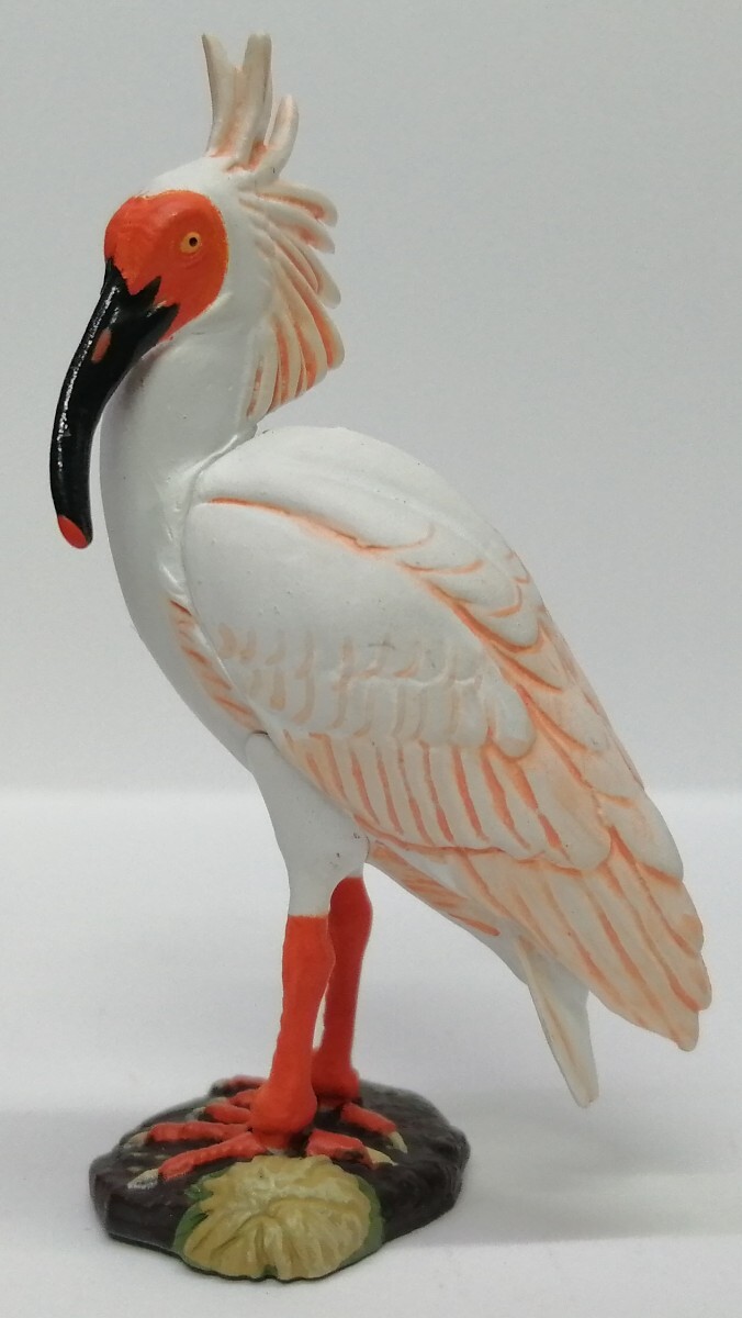 2026年最新】Yahoo!オークション -週刊日本の天然記念物の中古品・新品