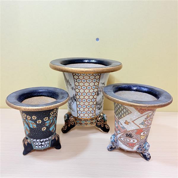 Yahoo!オークション -「万年青 錦鉢」の落札相場・落札価格