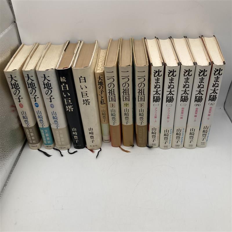 2026年最新】Yahoo!オークション -大地の子の中古品・新品・未使用品一覧