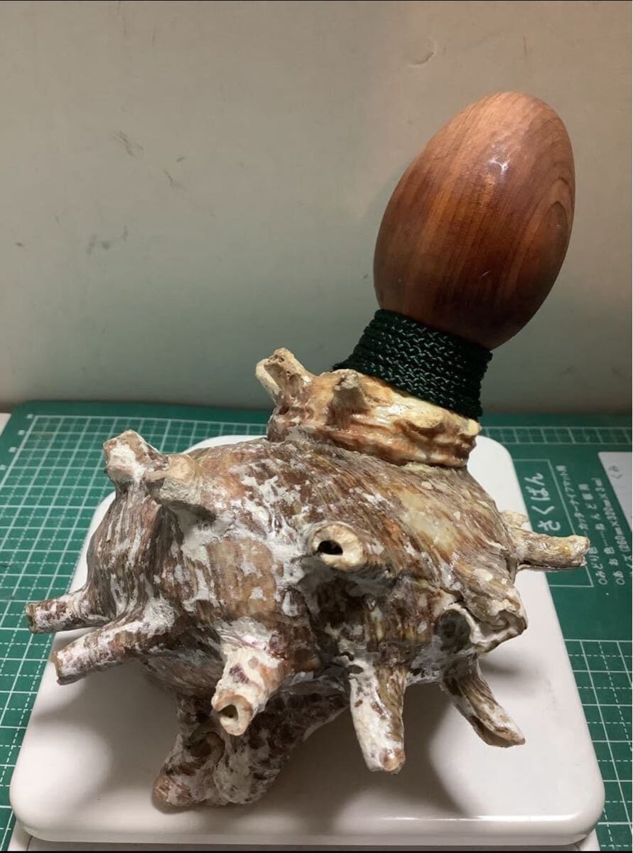 2026年最新】Yahoo!オークション -法螺貝 笛の中古品・新品・未使用品一覧