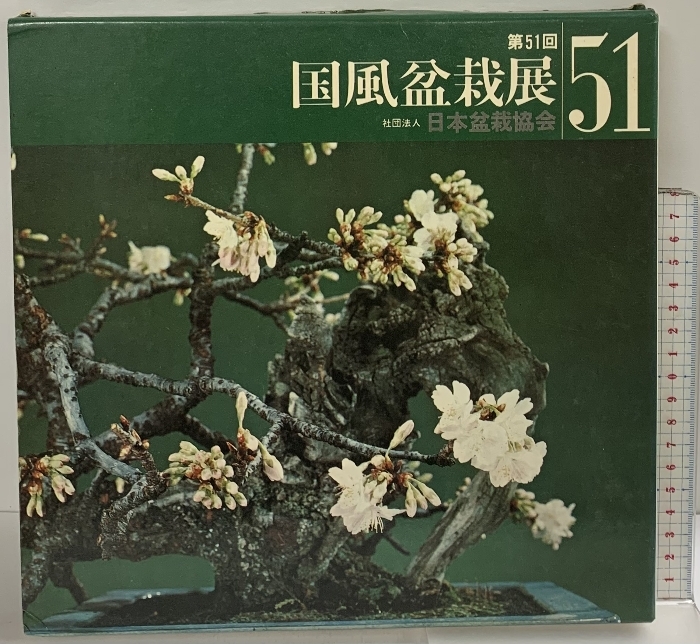 2026年最新】Yahoo!オークション -国風盆栽展の中古品・新品・未使用品一覧