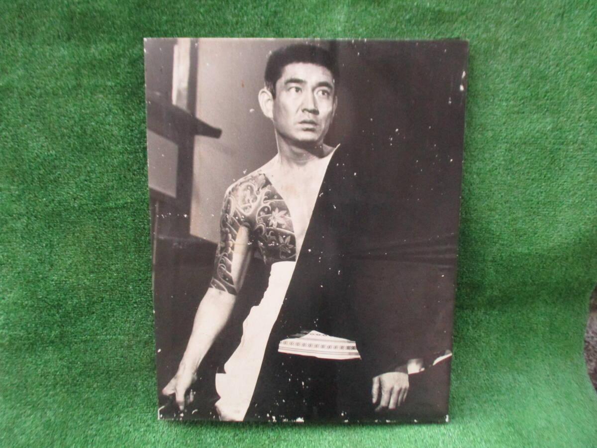 2026年最新】Yahoo!オークション -高倉健 パネルの中古品・新品・未