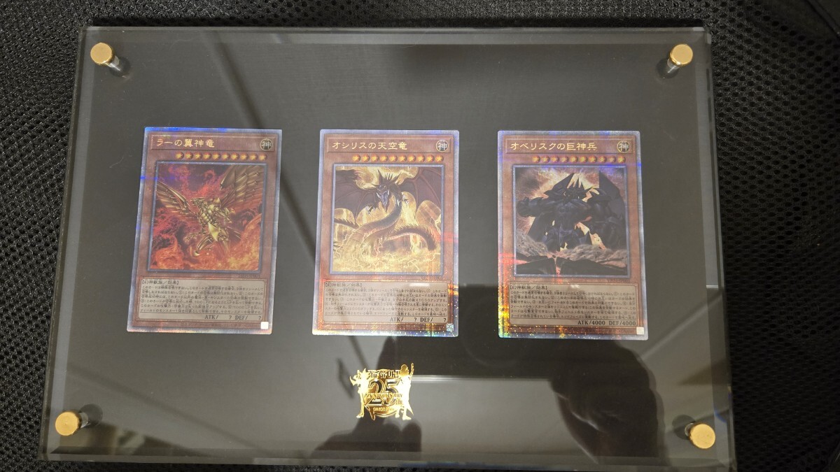 2026年最新】Yahoo!オークション -海馬セットの中古品・新品・未使用品一覧