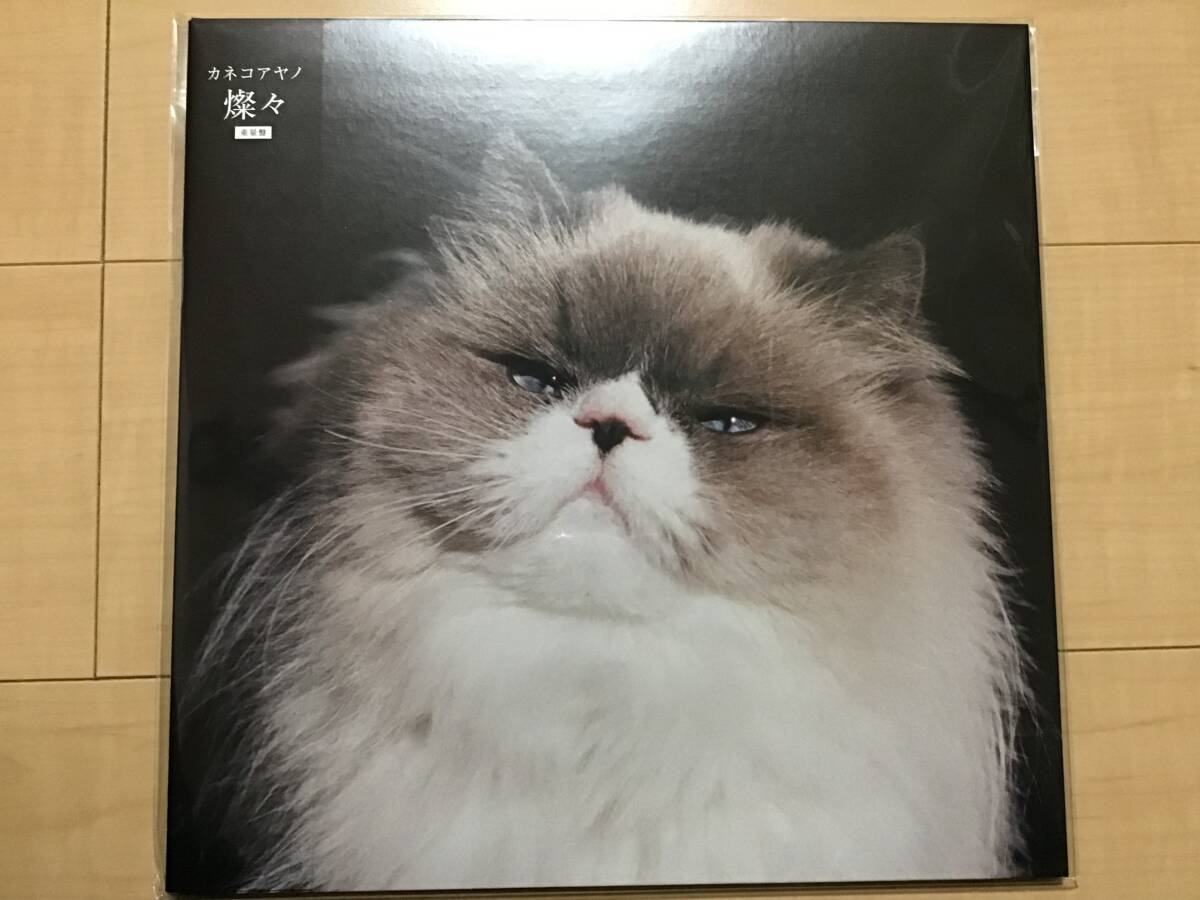 2026年最新】カネコアヤノ レコードの魅力的な商品一覧 - Yahoo