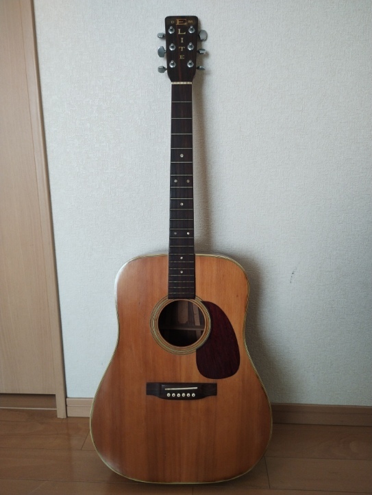 Yahoo!オークション -「tw」(タカミネ) (本体)の落札相場・落札価格