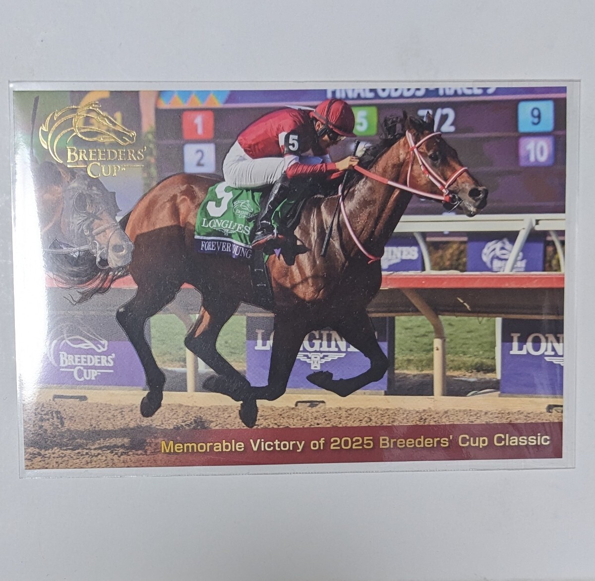 Yahoo!オークション -「ポストカード」(競馬) の落札相場・落札価格