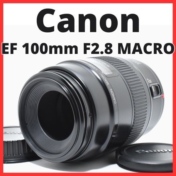 2026年最新】Yahoo!オークション -canon ef 100mm 2.8の中古品・新品
