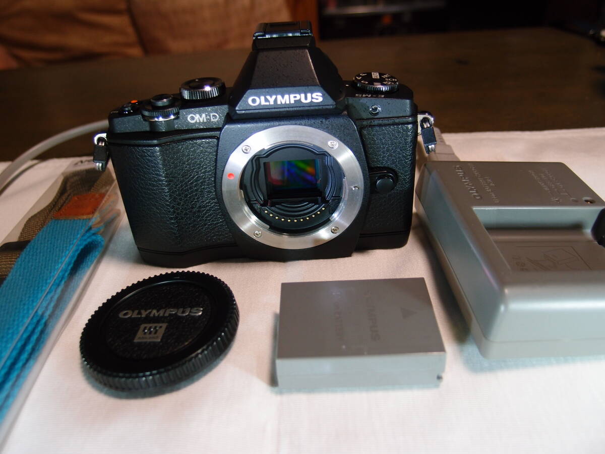 2026年最新】Yahoo!オークション - オリンパス(ミラーレス一眼