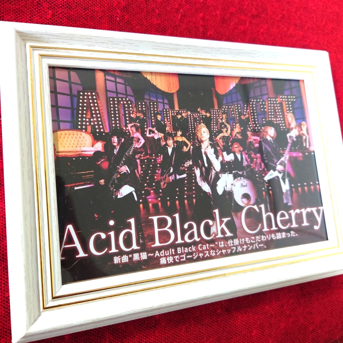 Acid Black Cherry ランダム アクリル マグネット B 蝶 yasu アシッド