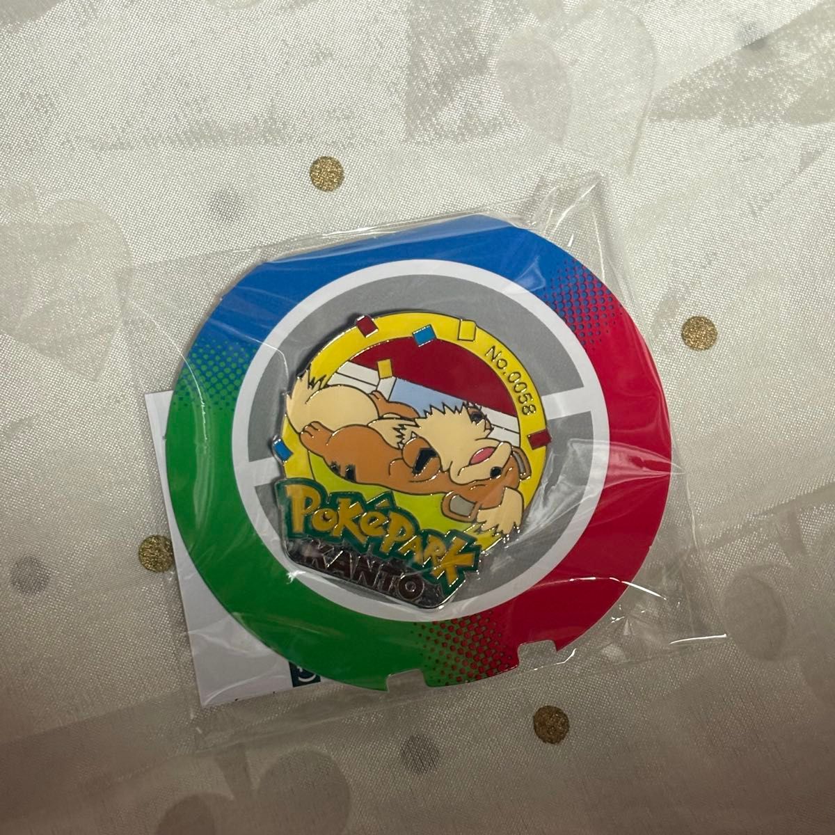 ポケパークカントー ピンズ（ピンバッジ）ピカチュウ ライチュウ2個