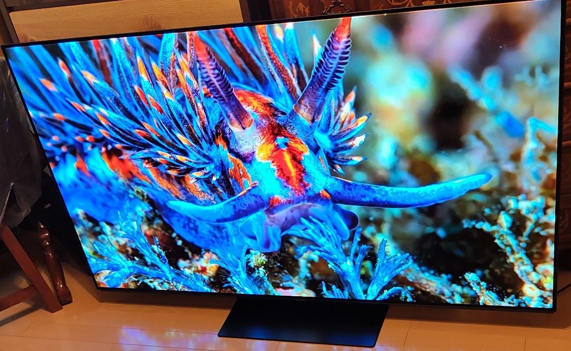 2026年 ヨドバシ お風呂テレビの夢 夢のお年玉箱 福袋 ビエラ VIERA