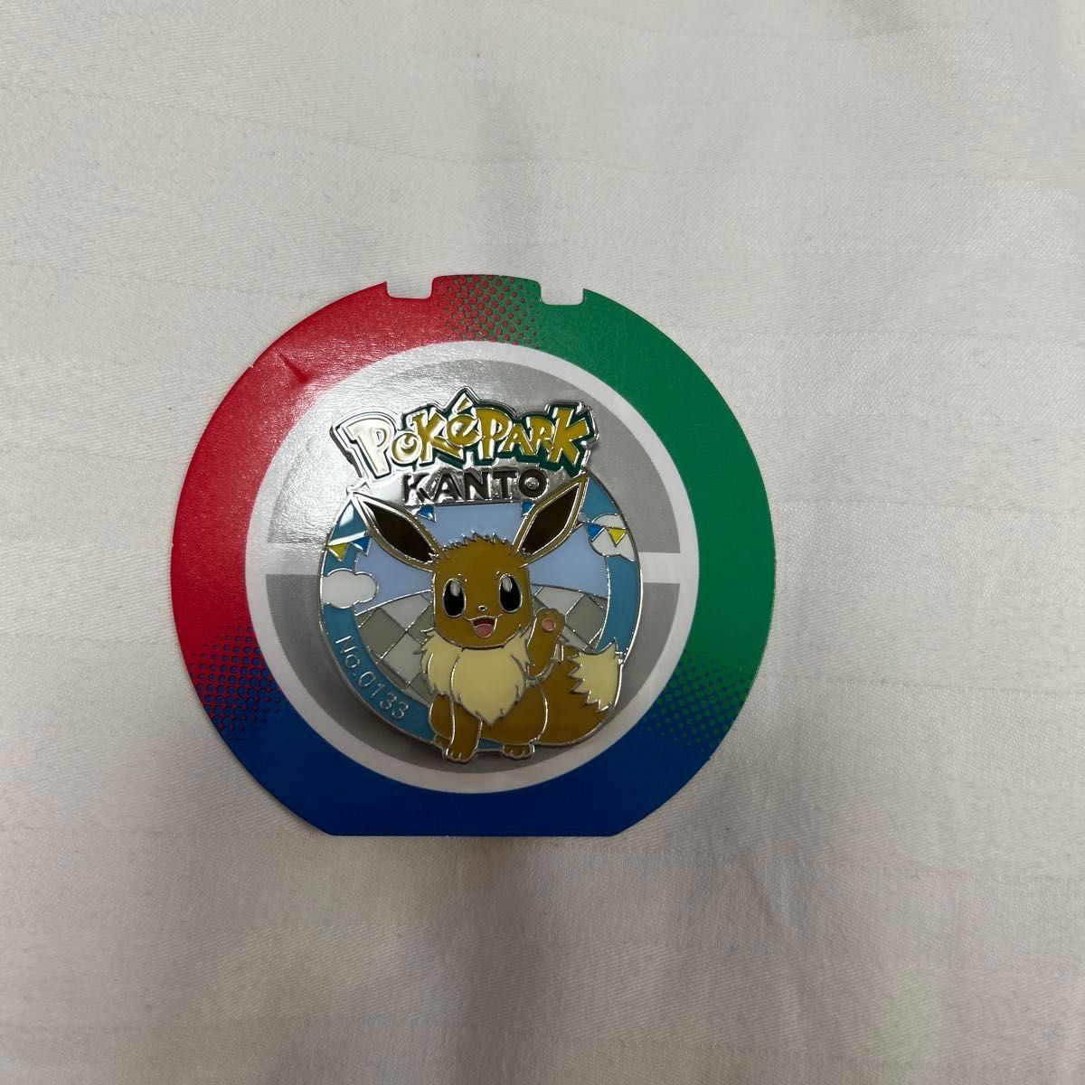 ポケパークカントー ピンズ（ピンバッジ）ピカチュウ ライチュウ2個