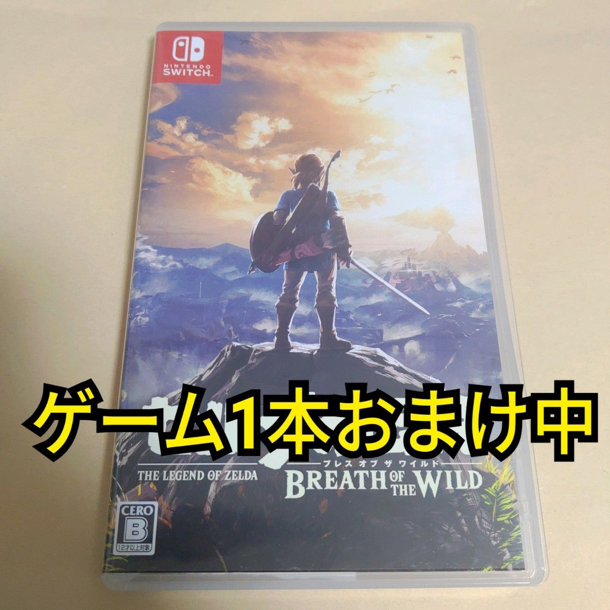 ゼルダの伝説ブレスオブザワイルド ブレワイ ティアキン 2本セット