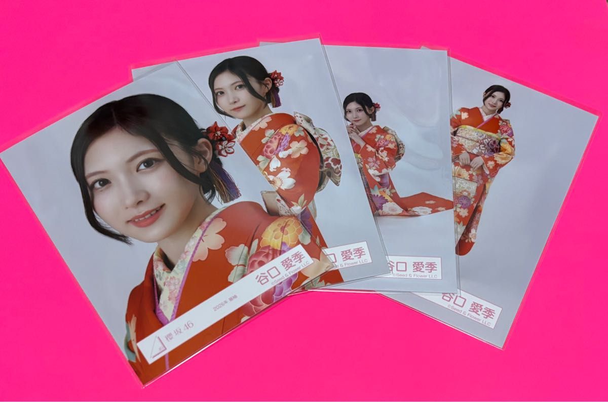 櫻坂46 2025年 サンタ 生写真 4種コンプ 谷口愛季｜Yahoo!フリマ（旧