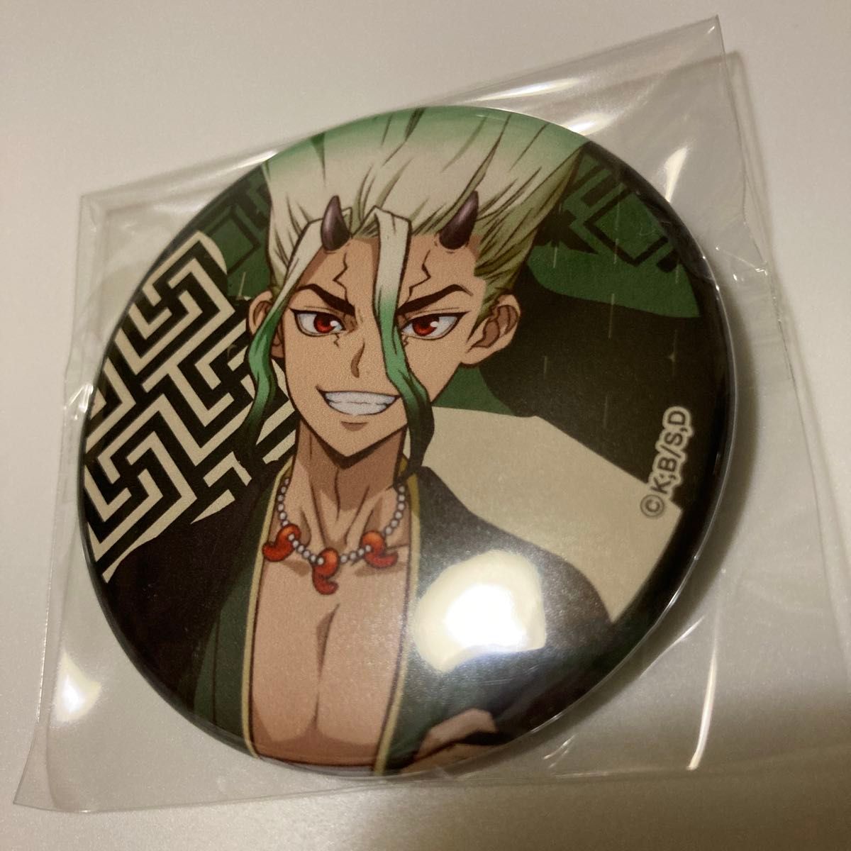 Dr STONE 百鬼夜行 氷月 缶バッジ｜Yahoo!フリマ（旧PayPayフリマ）