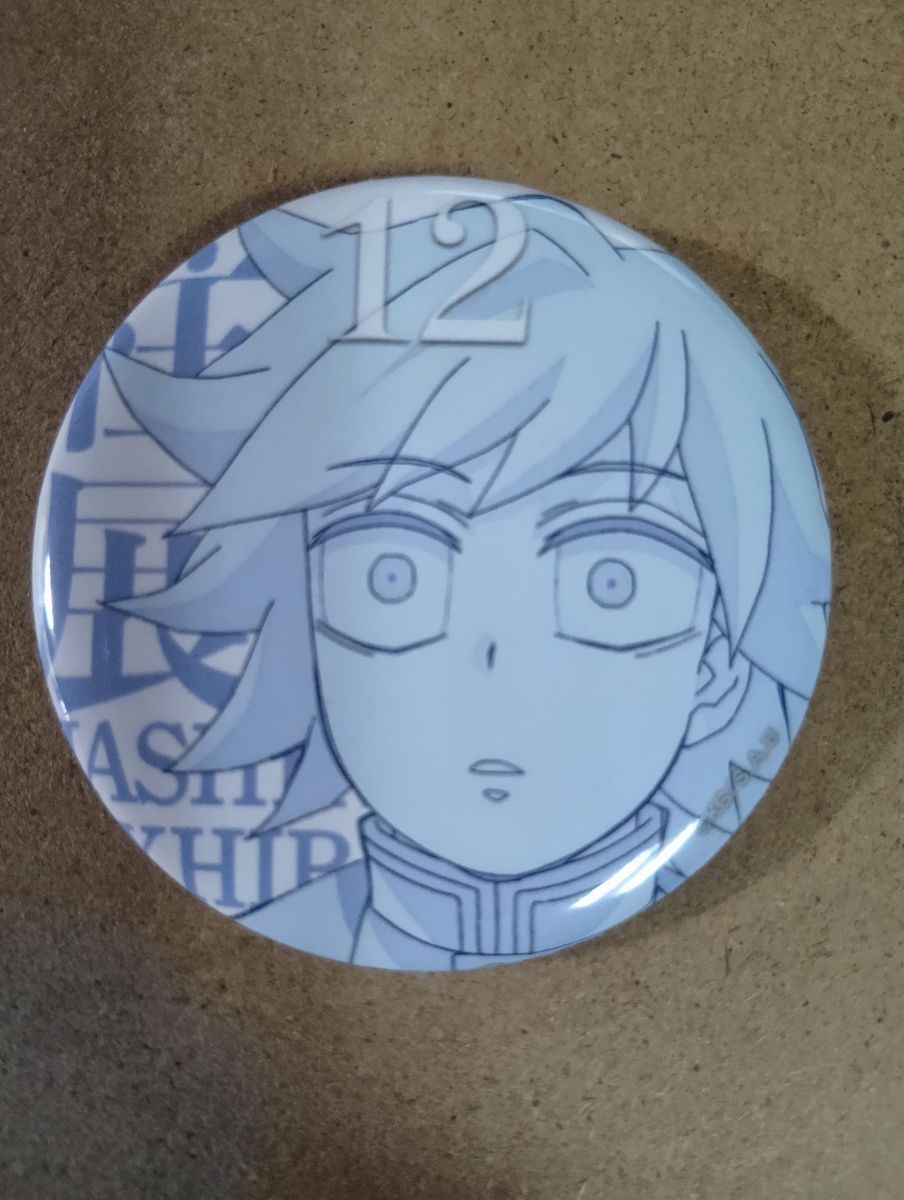 柱百景 エモーショナル缶バッジ 冨岡義勇 10 23 12 29番 4種 エモ缶