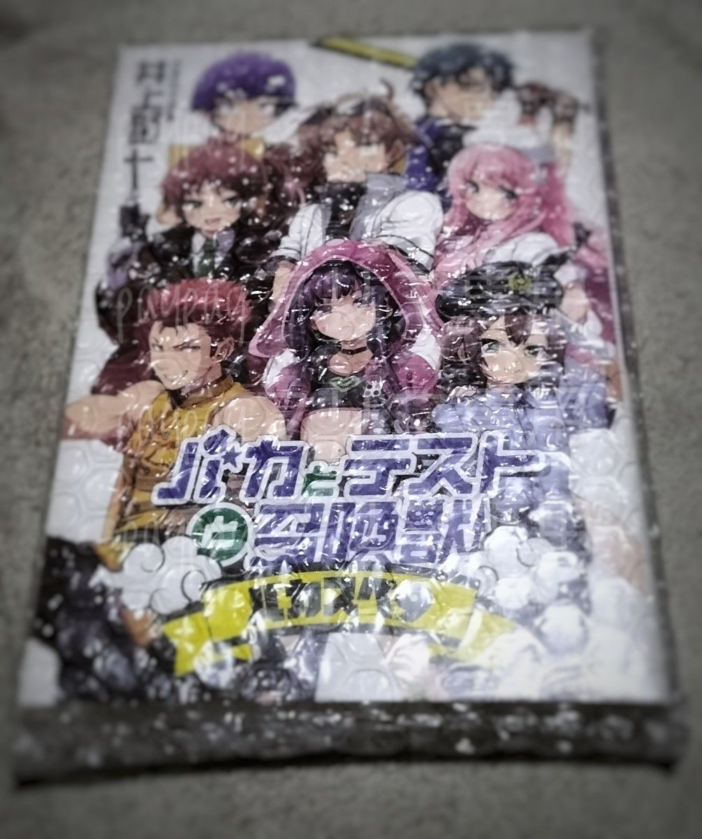 バカとテストと召喚獣 x サタスペ コラボ書籍 +ドラマCD》井上堅二 葉